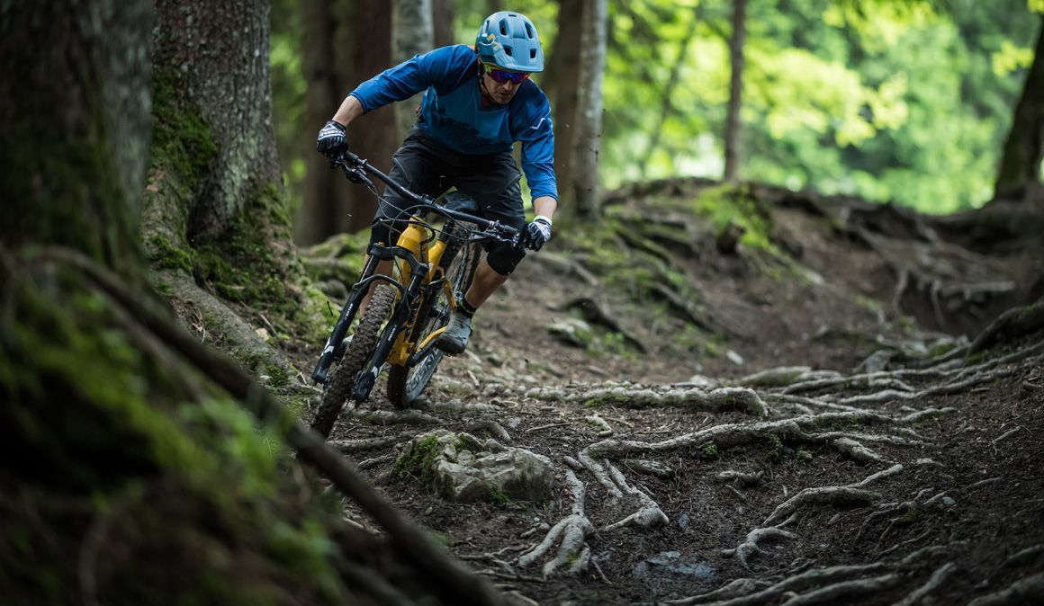 Técnica: como ultrapassar raízes molhadas