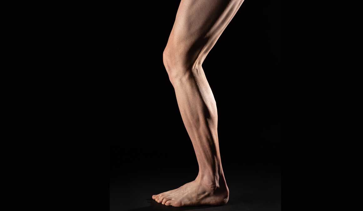 Que tipo de musculatura tenho?