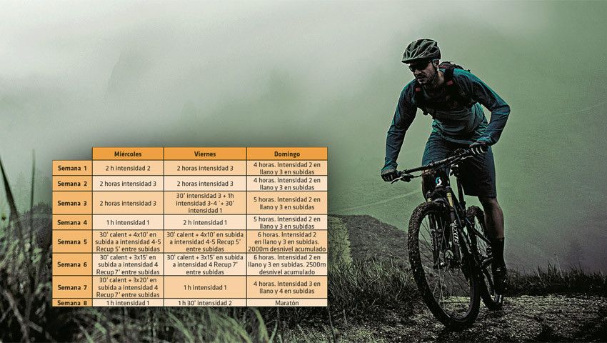 Falta pouco tempo para o dia "D"? Segue o nosso plano de treino