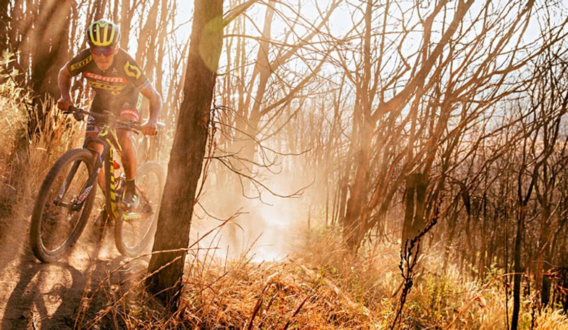 10 truques para ser um betetista melhor