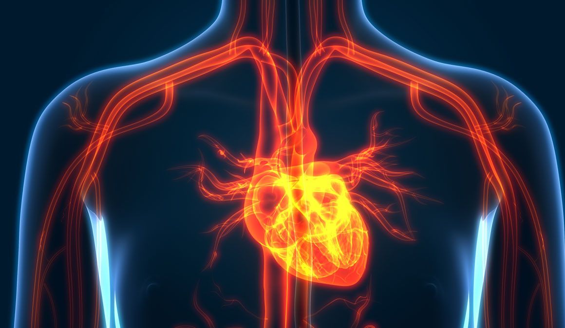 Não percebes os dados fornecidos pelo teu pulsómetro? 