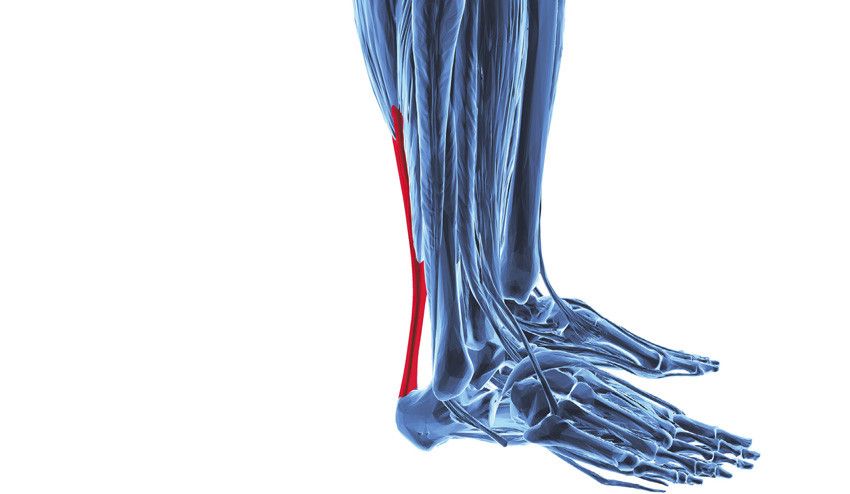 Tens dores no tendão de Aquiles? 3 causas que têm a ver com a bicicleta