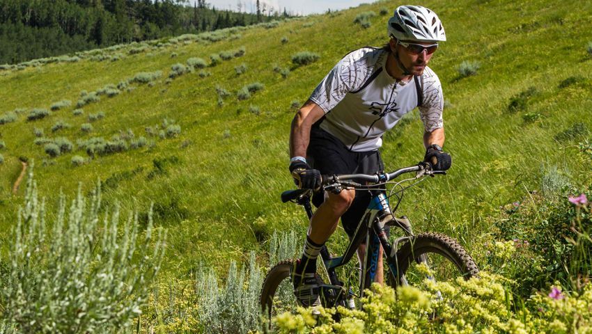 Nunca fizeste séries? Experimenta isto!