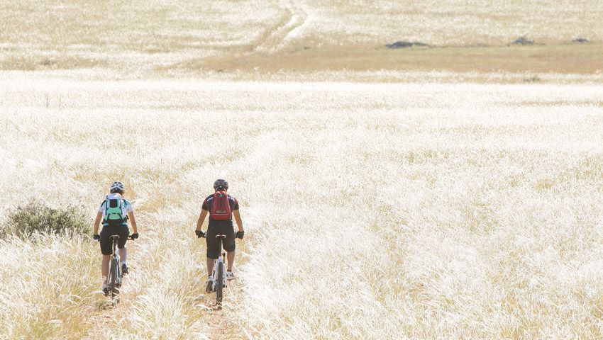 11 normas para andar de bicicleta no Verão 