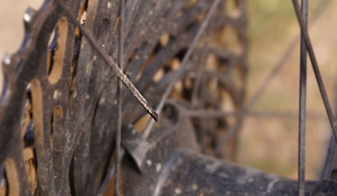 Partiste um raio? Antes de continuares a pedalar lê este artigo