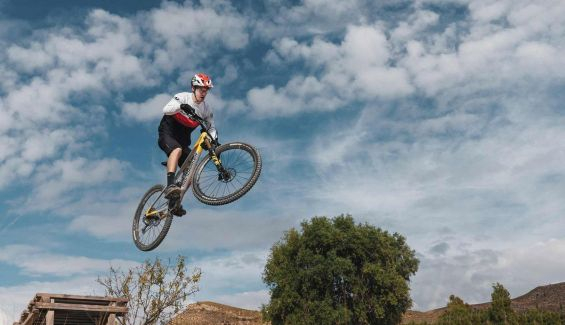 david trummer mondraker 6
