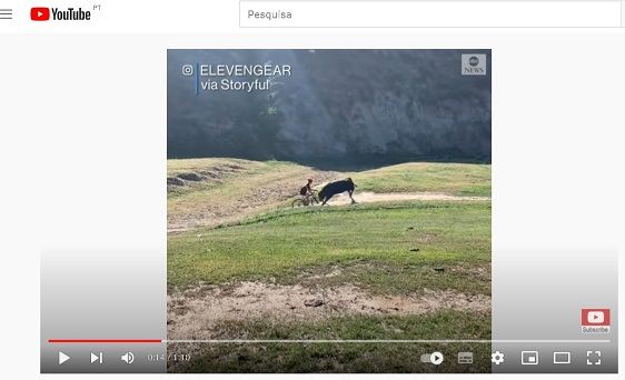 VIDEO: boi ataca participantes num evento de gravel
