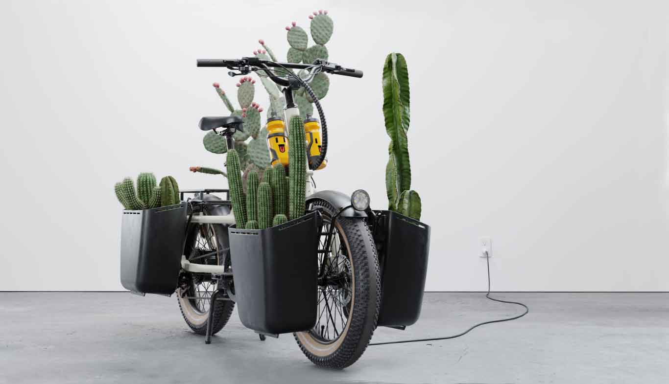 A misteriosa bicicleta Globe