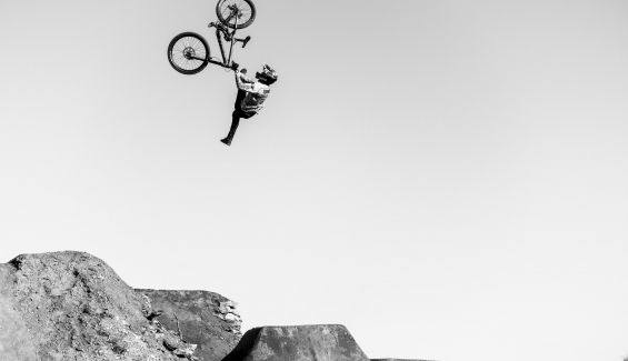 red bull red bull