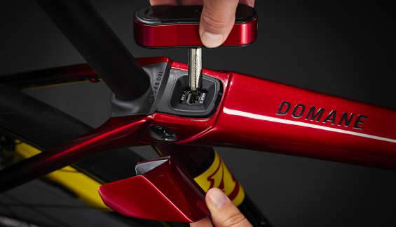 domane6 domane6