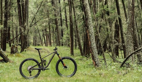 ghost sidebyside sideviews riotcf blong 5887