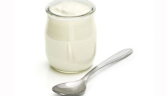 yogursi 3 565x325