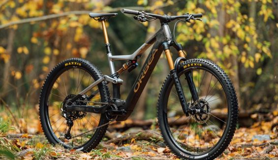 rise bikecheck 2 rise bikecheck 2