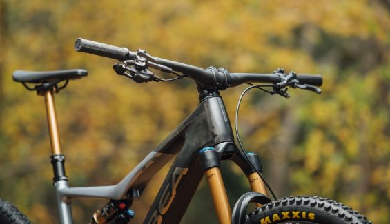rise bikecheck 3 rise bikecheck 3