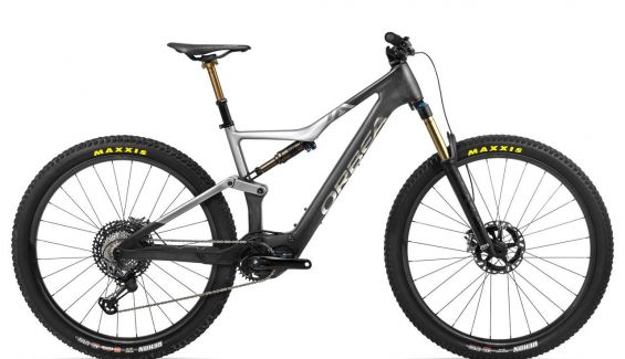 rise m ltd rise m ltd