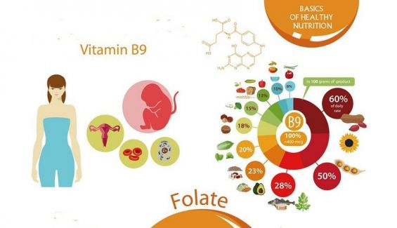 alimentos y efectos del acido folico o vitamina b9 1 7 1200x690 alimentos y efectos del acido folico o vitamina b9 1 7 1200x690