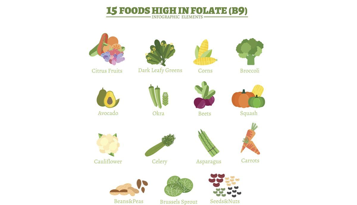 Alimentos ricos em vitamina B9 ou ácido fólico