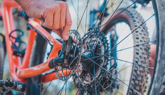 specialized epic brain 3 anos de revisiones gratis 2
