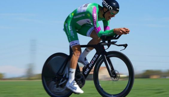 green project de rosa