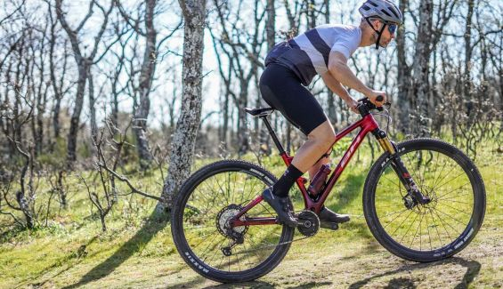 rotor inspider mtb 15