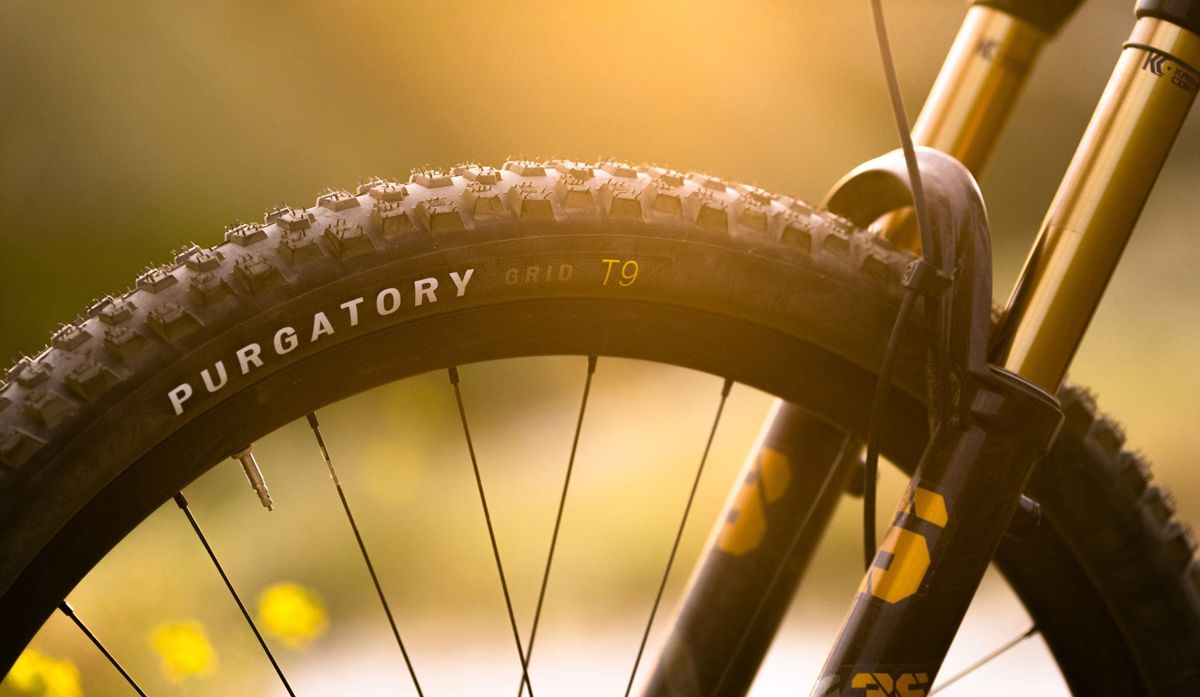 Pneus Specialized Purgatory