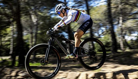3266 rb 200323 phrobybragotto pinarello dogma mtb 3266 rb 200323 phrobybragotto pinarello dogma mtb