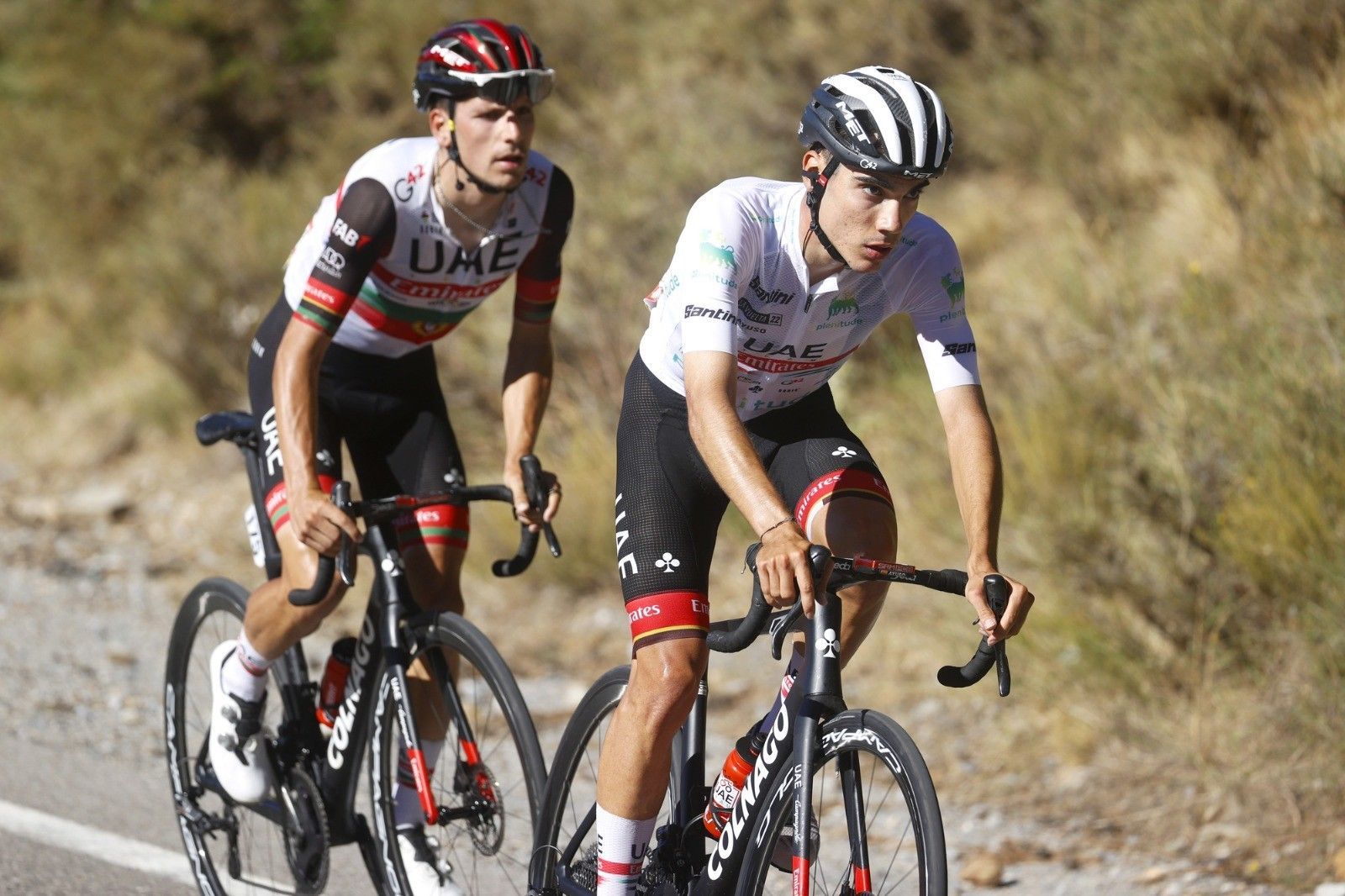 João Almeida e Juan Ayuso vão partilhar a liderança da UAE na Vuelta