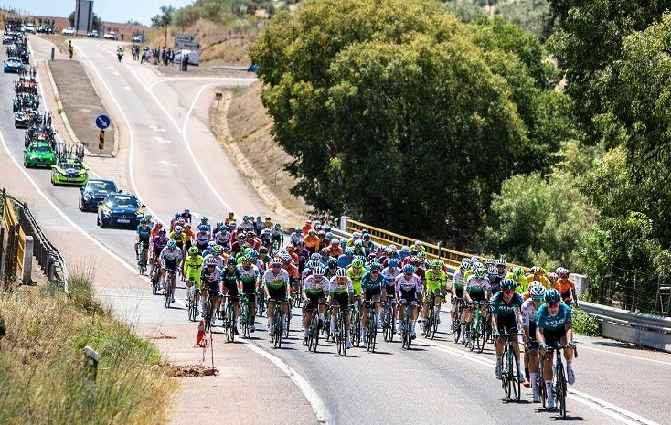 Pelotão nacional regressa à estrada este domingo