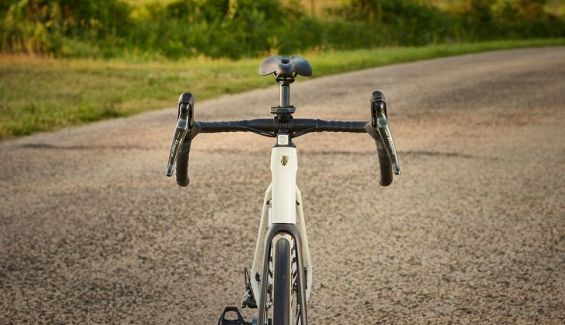 domane