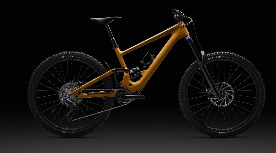specialized