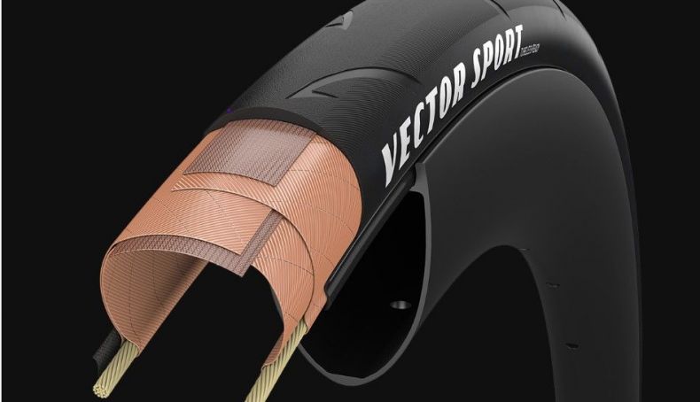 vector sport