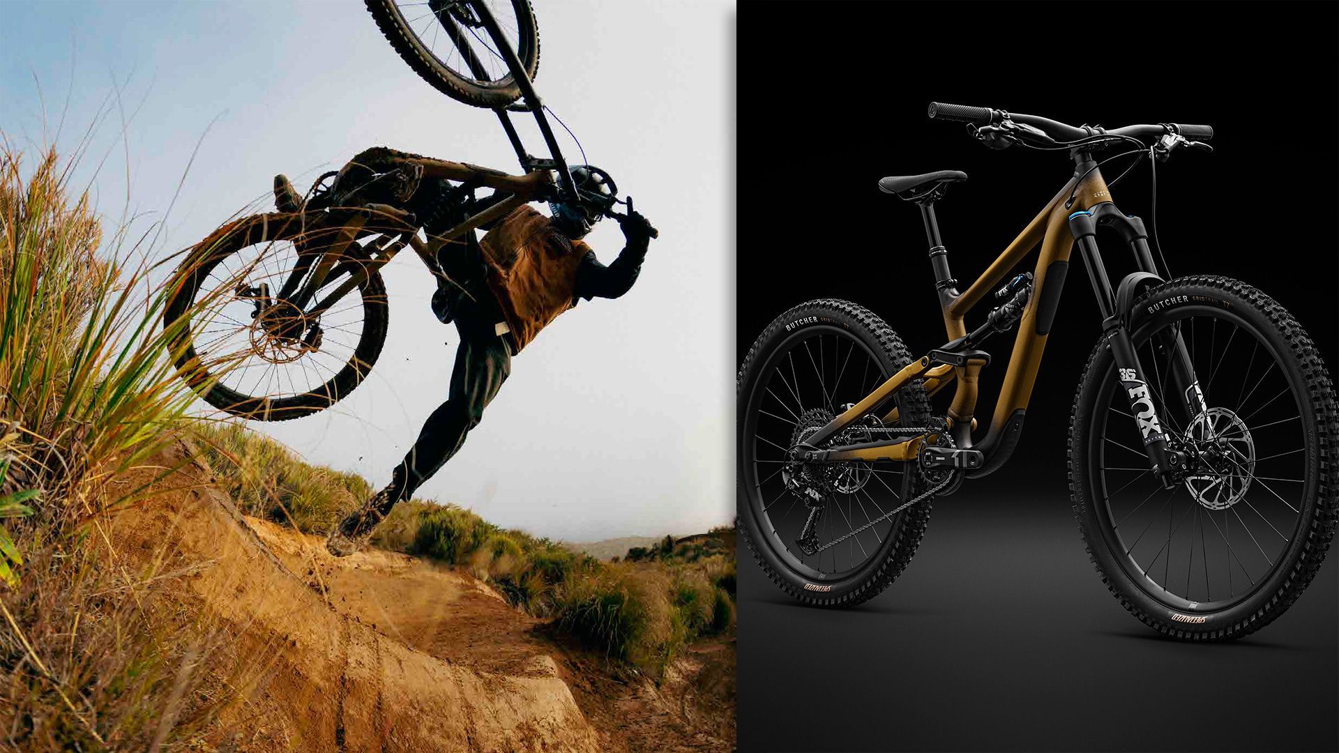 Specialized Status 2