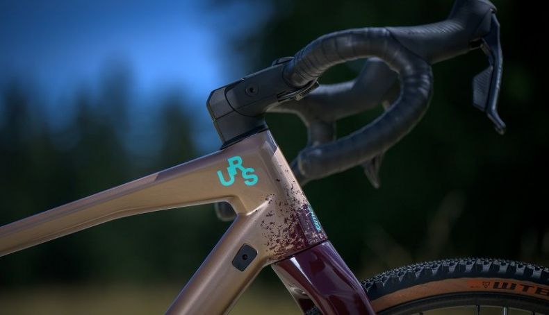 MTT stem MTT stem