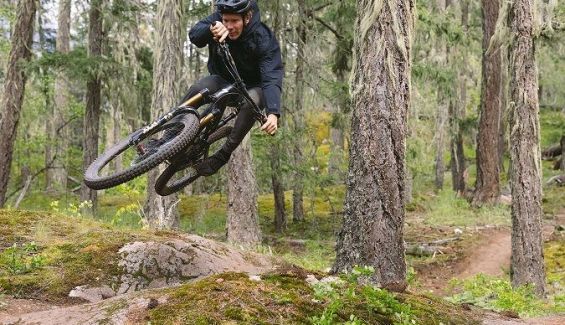stumpy