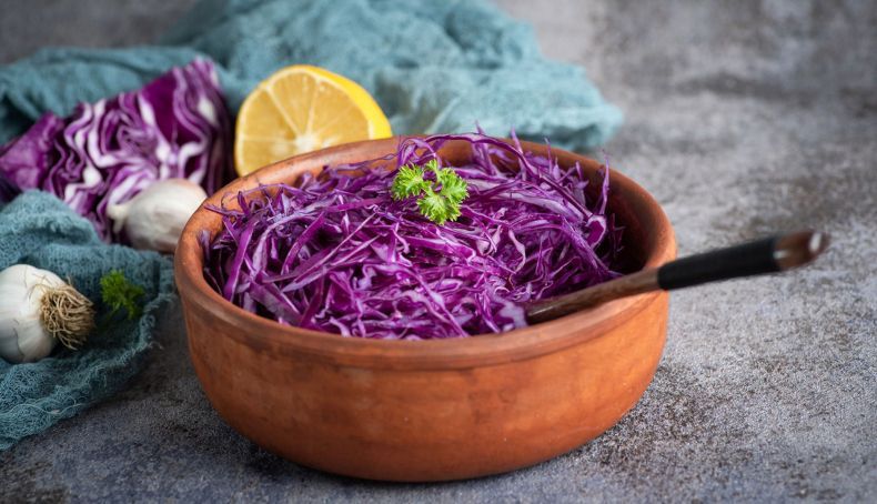 Couve roxa, o superalimento antioxidante que aumenta a tua recuperação e rendimento desportivo