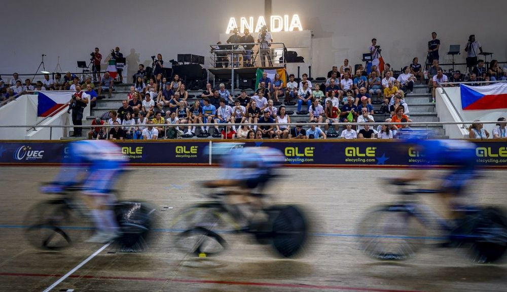 anadia anadia