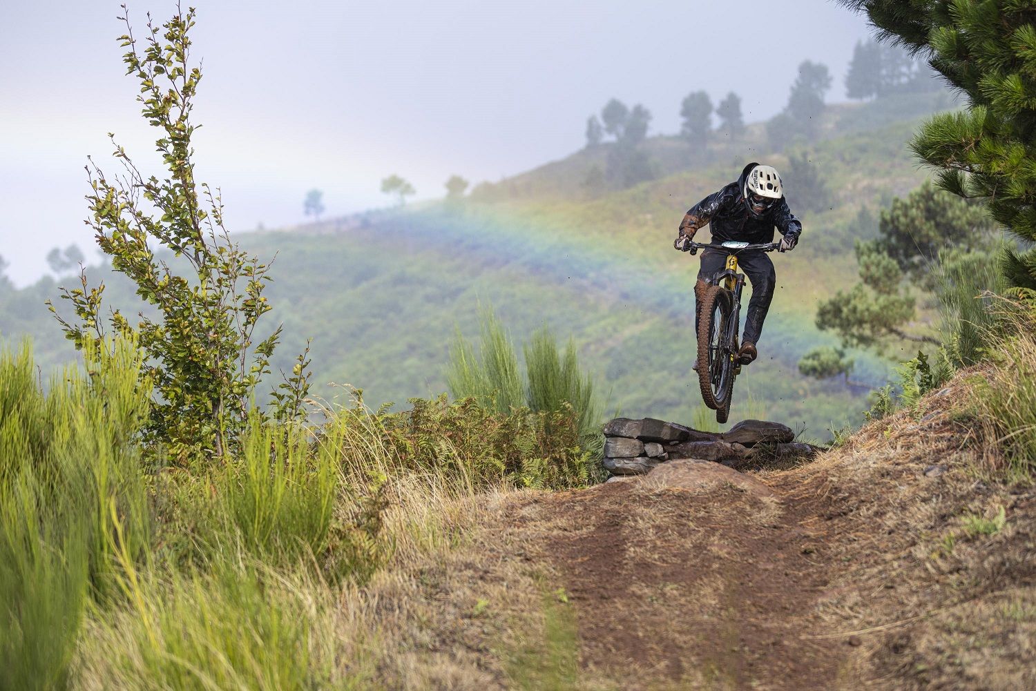 Trans Madeira 2026 terá duas edições