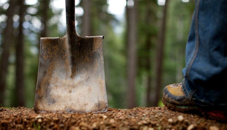 Shimano Trail Born expande-se em 2026