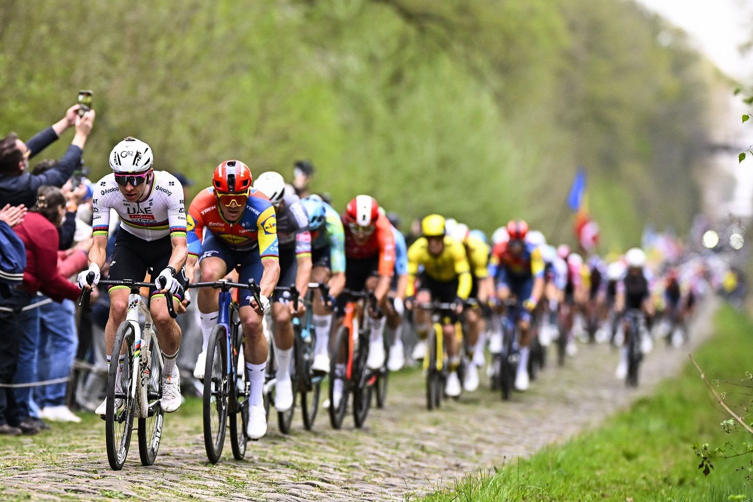Quem será o vencedor da Paris-Roubaix 2026? Pogacar ou Van der Poel?