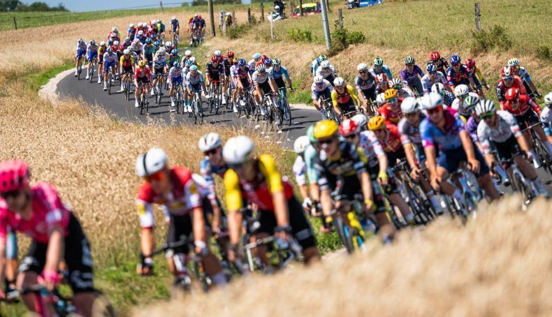 Etapa da Volta a França 2026 em risco devido à peste suína africana