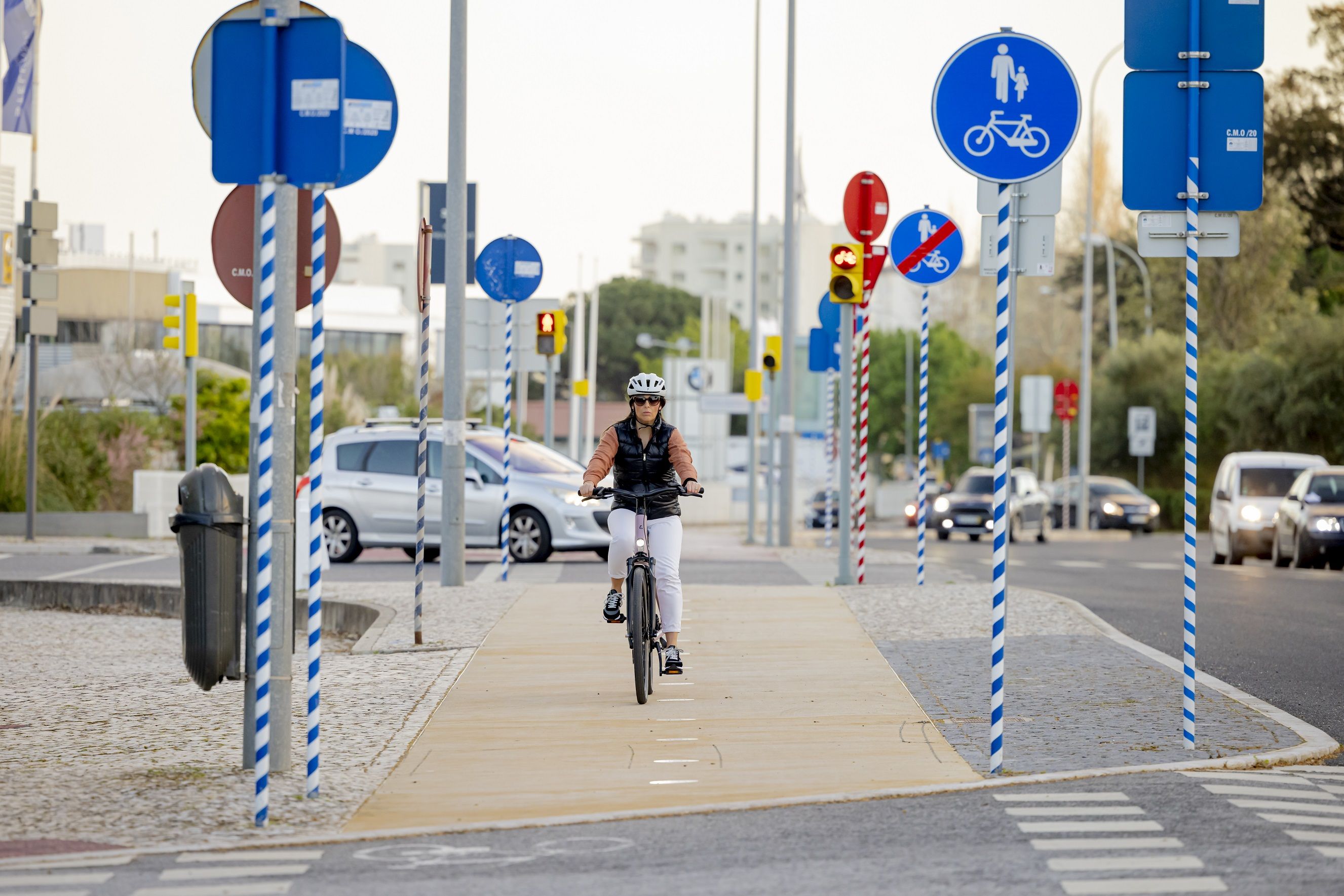 CCDR Lisboa desafia 52 municípios da região a aderirem à mobilidade ciclável rumo à COP31