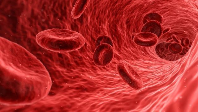  Análises ao sangue: descobre quais são os parâmetros mais importantes no desporto
