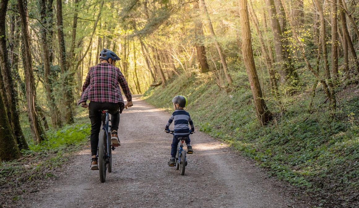 Procura de bicicletas começa paulatinamente a retomar