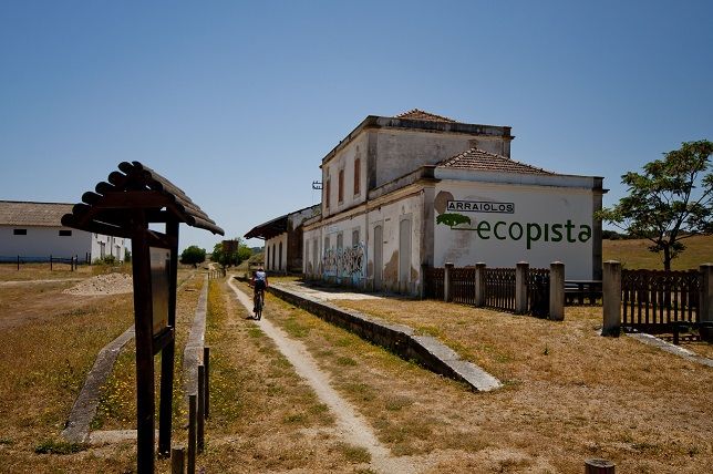 Mais de 3000 km cicláveis em homologação no Alentejo e Ribatejo