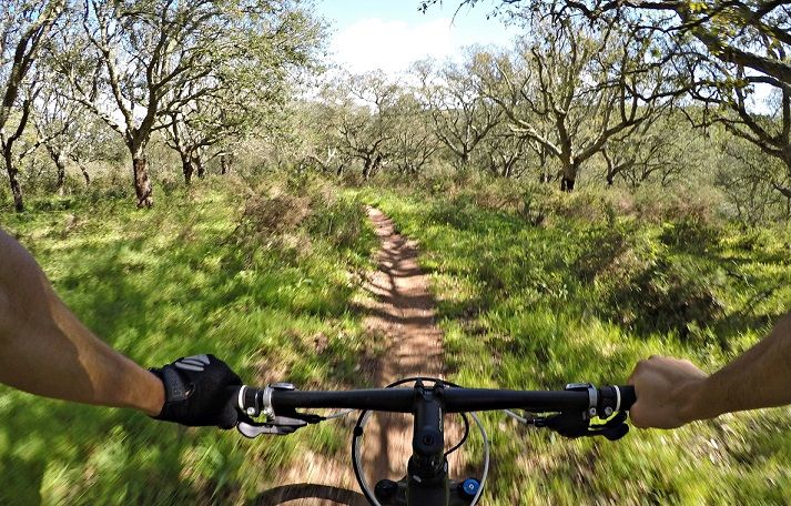 Cycling Lisbon: dos passeios para a mecânica
