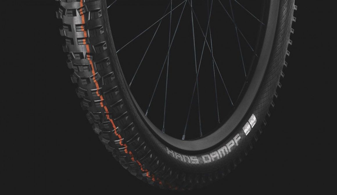 Novos pneus Hans Dampf da Schwalbe.