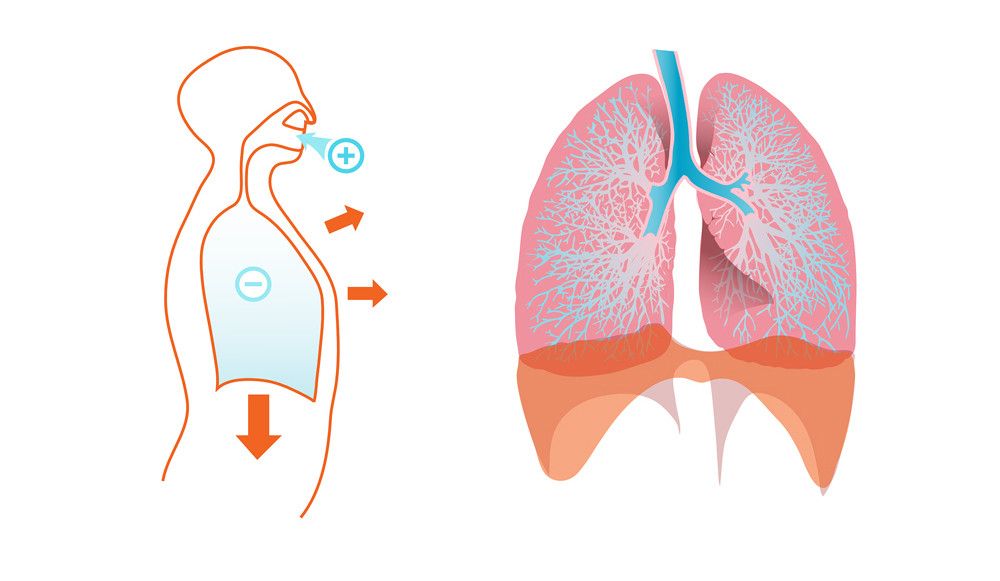 O papel do VO2 MAX no treino de ciclismo