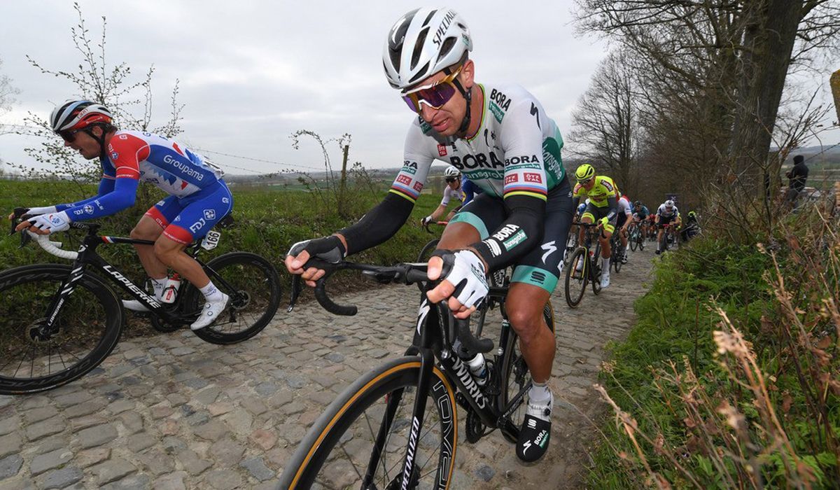 Peter Sagan poderá estar prestes a assinar pela Deceuninck-Quick Step, segundo o L´Equipe