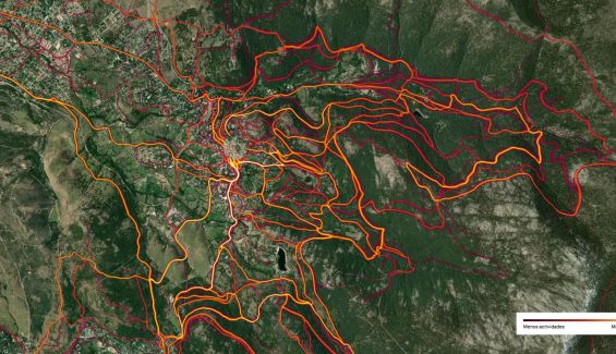 strava mapa de calor strava mapa de calor