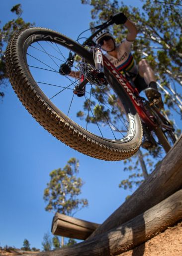 specialized pneus